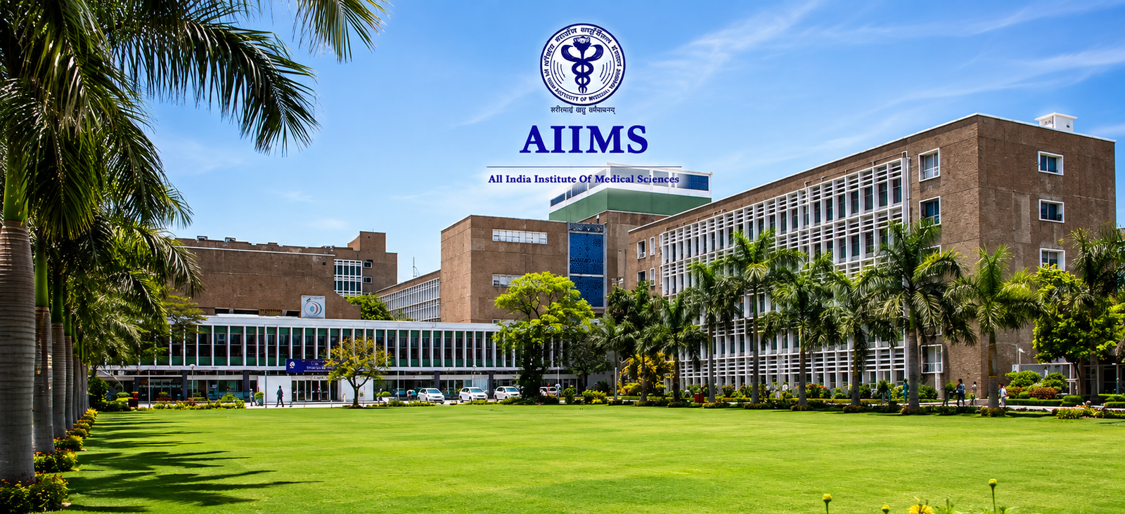 AIIMS Scene 1